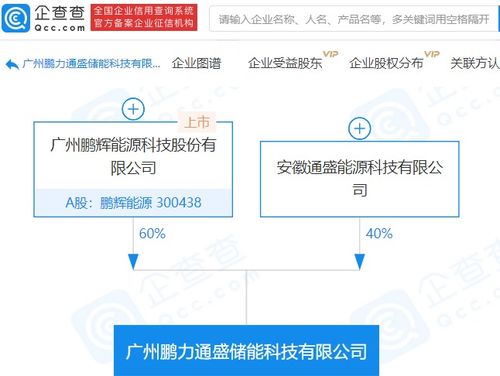 鵬輝能源參股成立儲(chǔ)能科技新公司，注冊資本達(dá)1億元，拓展信息系統(tǒng)集成服務(wù)